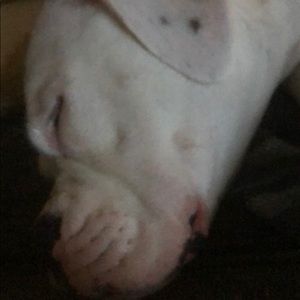 Meet your Posher, Adam